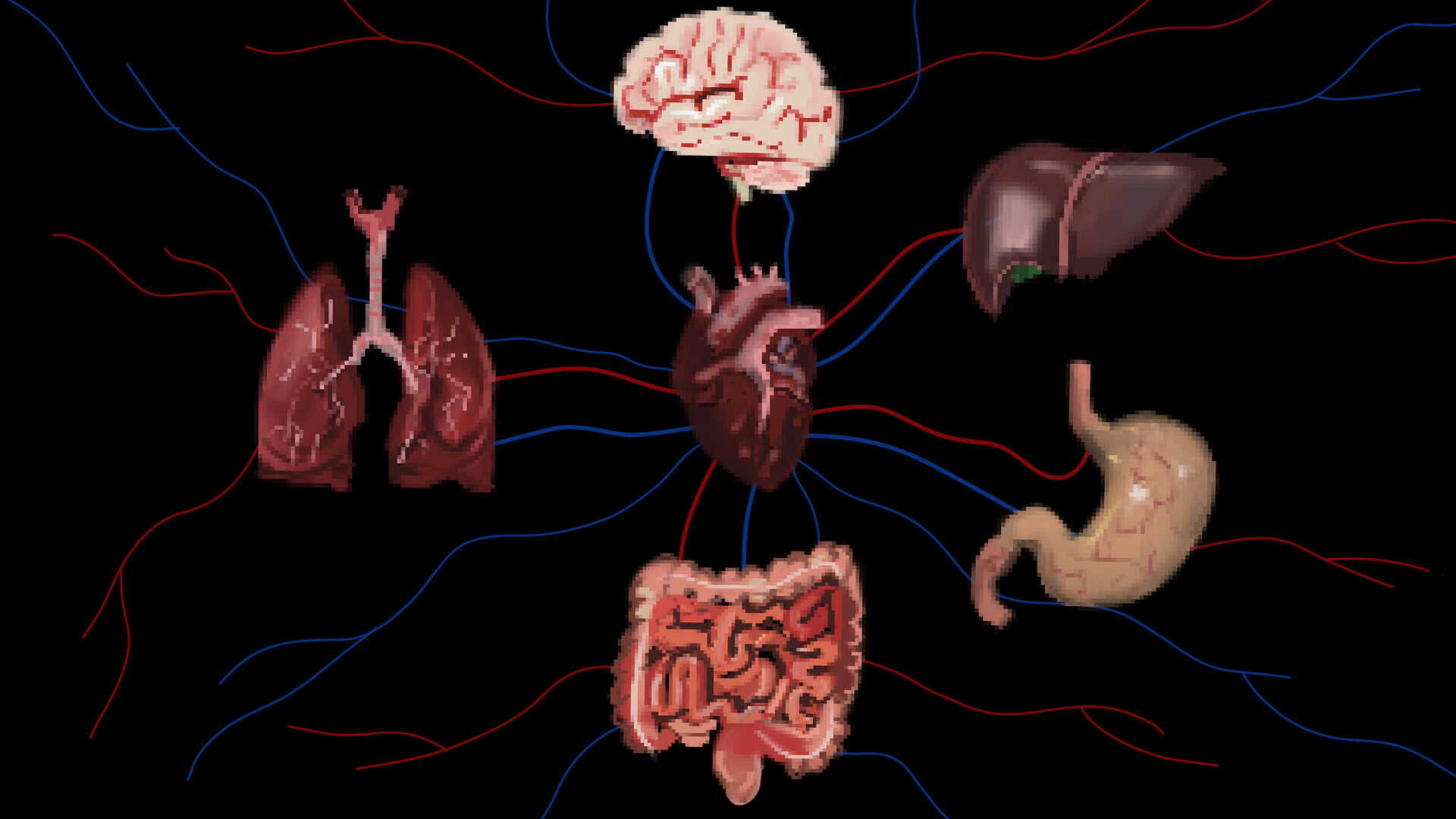 Organs
